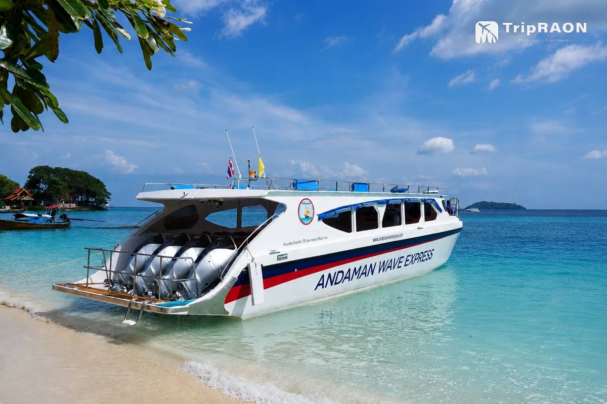 Andaman Wave Master · Krabi - Phi Phi Tonsai Speedboat Ticket (안다만웨이브 · 끄라비 ↔ 피피섬 Tonsai 스피드보트 티켓) - Image 5