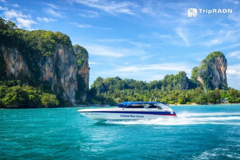 Andaman Wave Master · Phuket - Phi Phi Speedboat Ticket (안다만웨이브 · 푸켓 ↔ 피피섬 스피드보트 티켓)