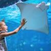 아쿠아리아 푸켓 (Aquaria Phuket)