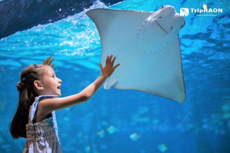 아쿠아리아 푸켓 <span class="notranslate" translate="no">(Aquaria Phuket)</span>