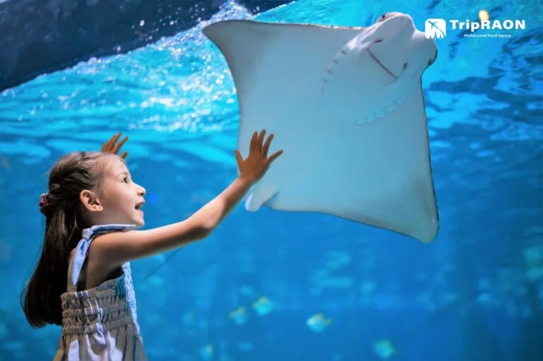 아쿠아리아 푸켓 <span class="notranslate" translate="no">(Aquaria Phuket)</span>