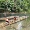 Bamboo Rafting · Komols (대나무 래프팅 · 코몰스)