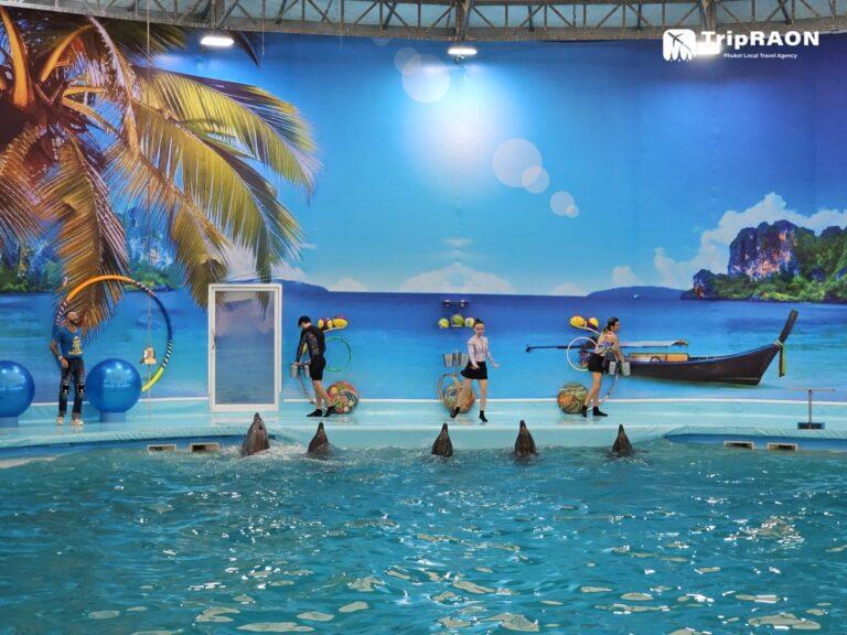 돌핀베이 <span class="notranslate" translate="no">(Dolphin Bay)</span>