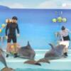 돌핀베이 (Dolphin Bay)
