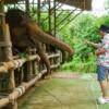 시레이 엘리펀트 케어 (Sirey Elephant Care)