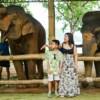 시레이 엘리펀트 케어 (Sirey Elephant Care)