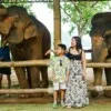 시레이 엘리펀트 케어 (Sirey Elephant Care)