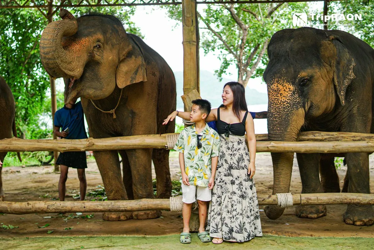 시레이 엘리펀트 케어 (Sirey Elephant Care)