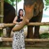 시레이 엘리펀트 케어 (Sirey Elephant Care)