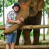 시레이 엘리펀트 케어 (Sirey Elephant Care)