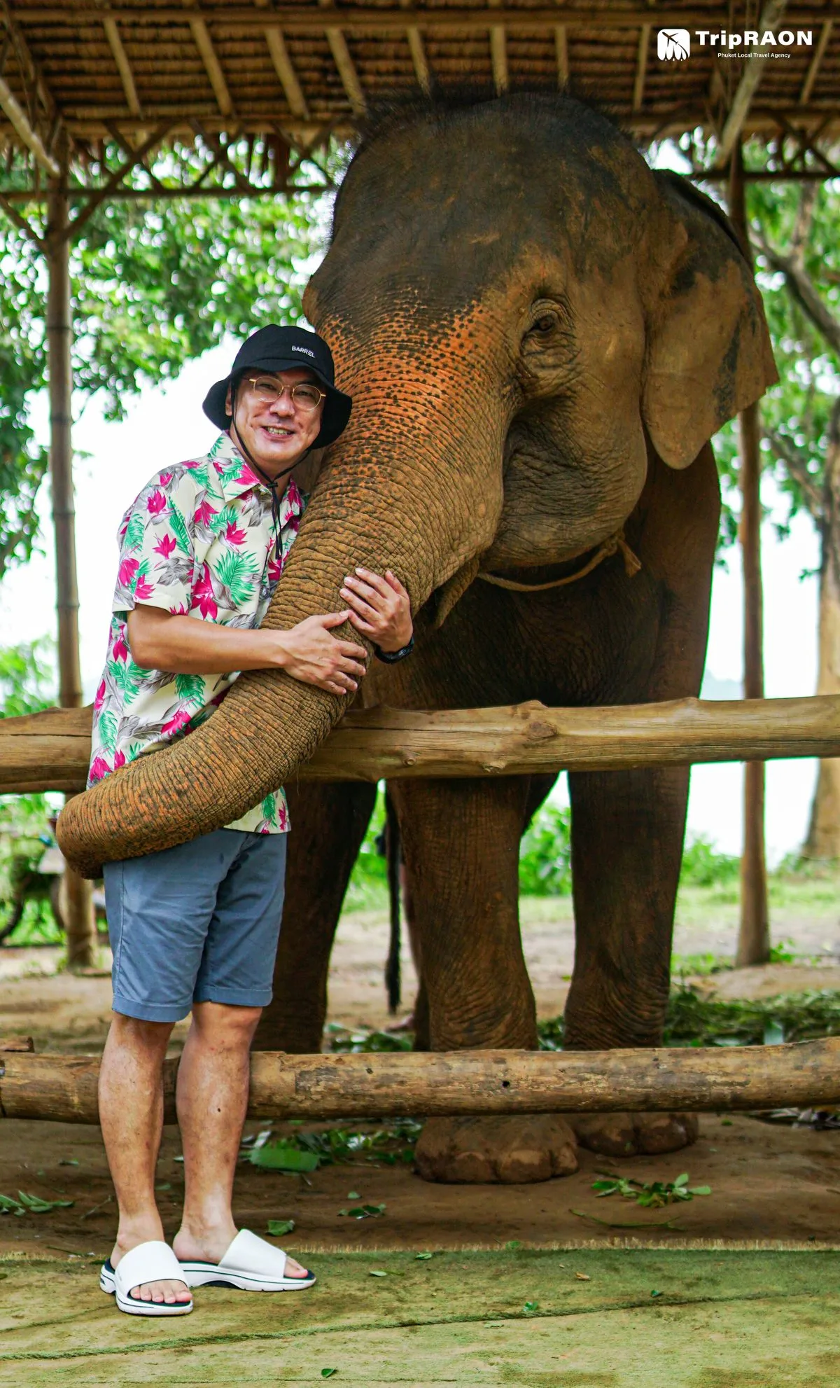 시레이 엘리펀트 케어 (Sirey Elephant Care)