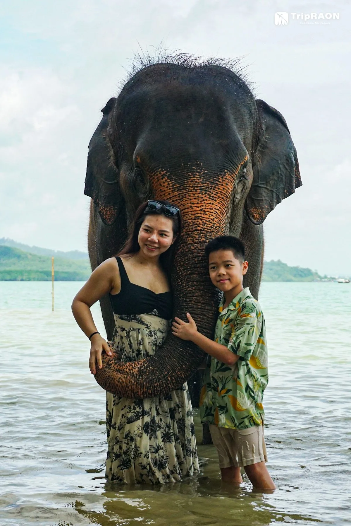 시레이 엘리펀트 케어 (Sirey Elephant Care)