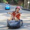 하누만 루지 (Hanuman Luge)
