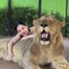라이온랜드 (Lion Land)