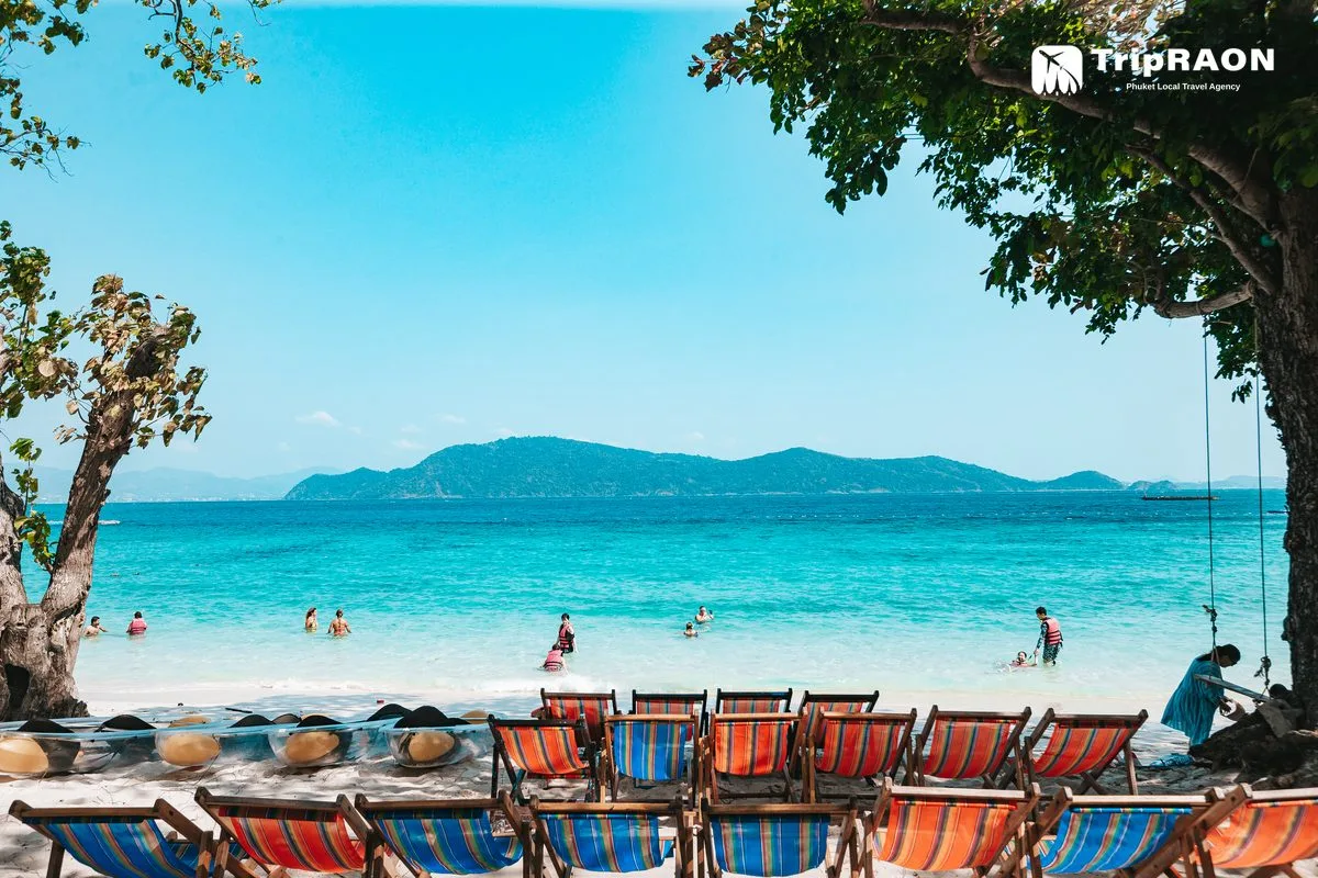 니콘마린 NKP01A (산호섬 종일) (Nikorn Marine NKP01A · Coral Island Full Day)