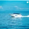 니콘마린 NKP01A (산호섬 종일) (Nikorn Marine NKP01A · Coral Island Full Day)