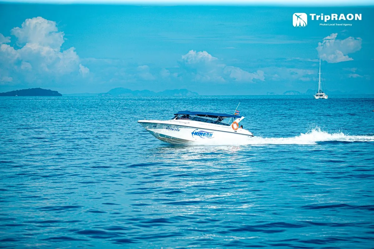 니콘마린 NKP01A (산호섬 종일) (Nikorn Marine NKP01A · Coral Island Full Day)