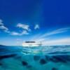 니콘마린 NKP01A (산호섬 종일) (Nikorn Marine NKP01A · Coral Island Full Day)