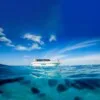 니콘마린 NKP01A (산호섬 종일) (Nikorn Marine NKP01A · Coral Island Full Day)