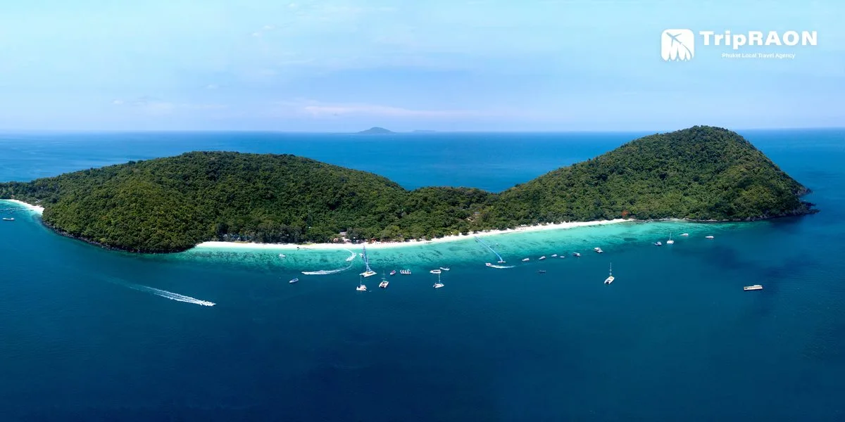 니콘마린 NKP01A (산호섬 종일) (Nikorn Marine NKP01A · Coral Island Full Day)