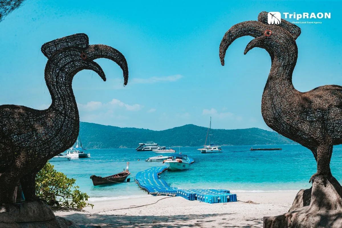 니콘마린 NKP02 (산호섬 종일) (Nikorn Marine NKP02 · Coral Island Full Day)