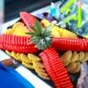 니콘마린 NKP02 (산호섬 종일) (Nikorn Marine NKP02 · Coral Island Full Day)
