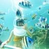 니콘마린 NKP04 (라차섬 종일) (Nikorn Marine NKP04 · Racha Island Full Day)