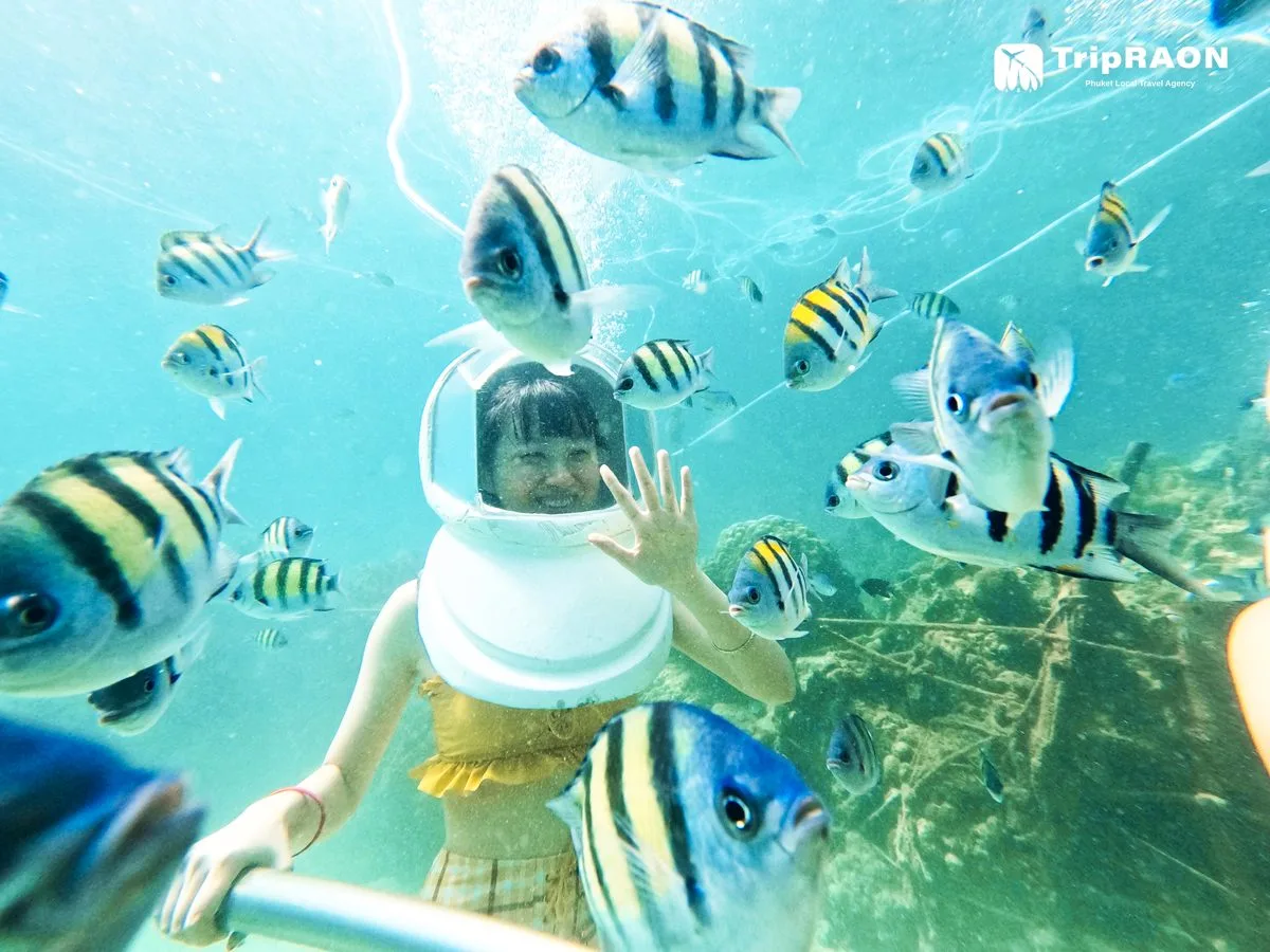 니콘마린 NKP04 (라차섬 종일) (Nikorn Marine NKP04 · Racha Island Full Day)