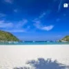 니콘마린 NKP04 (라차섬 종일) (Nikorn Marine NKP04 · Racha Island Full Day)