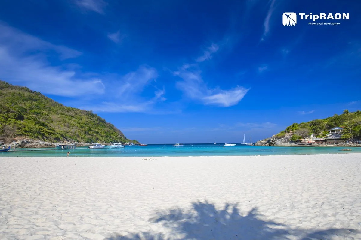 니콘마린 NKP04 (라차섬 종일) (Nikorn Marine NKP04 · Racha Island Full Day)