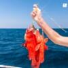 니콘마린 NKP05 (게임피싱) (Nikorn Marine NKP05 · Game Fishing)