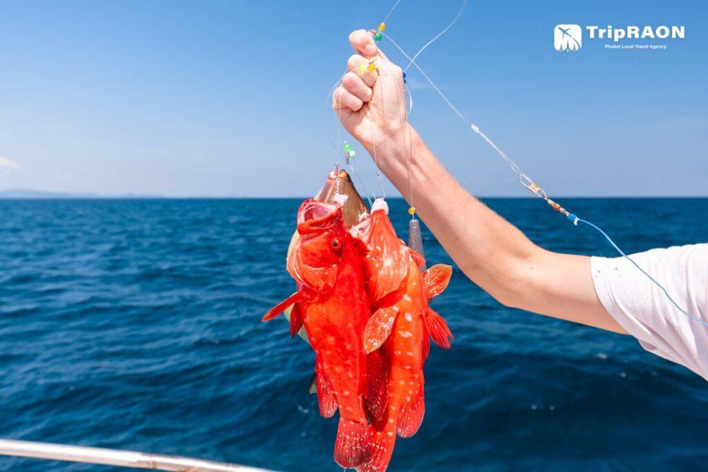 니콘마린 NKP05 (게임피싱) (Nikorn Marine NKP05 · Game Fishing)