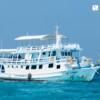 씨스타 시밀란 (Sea Star · Similan)