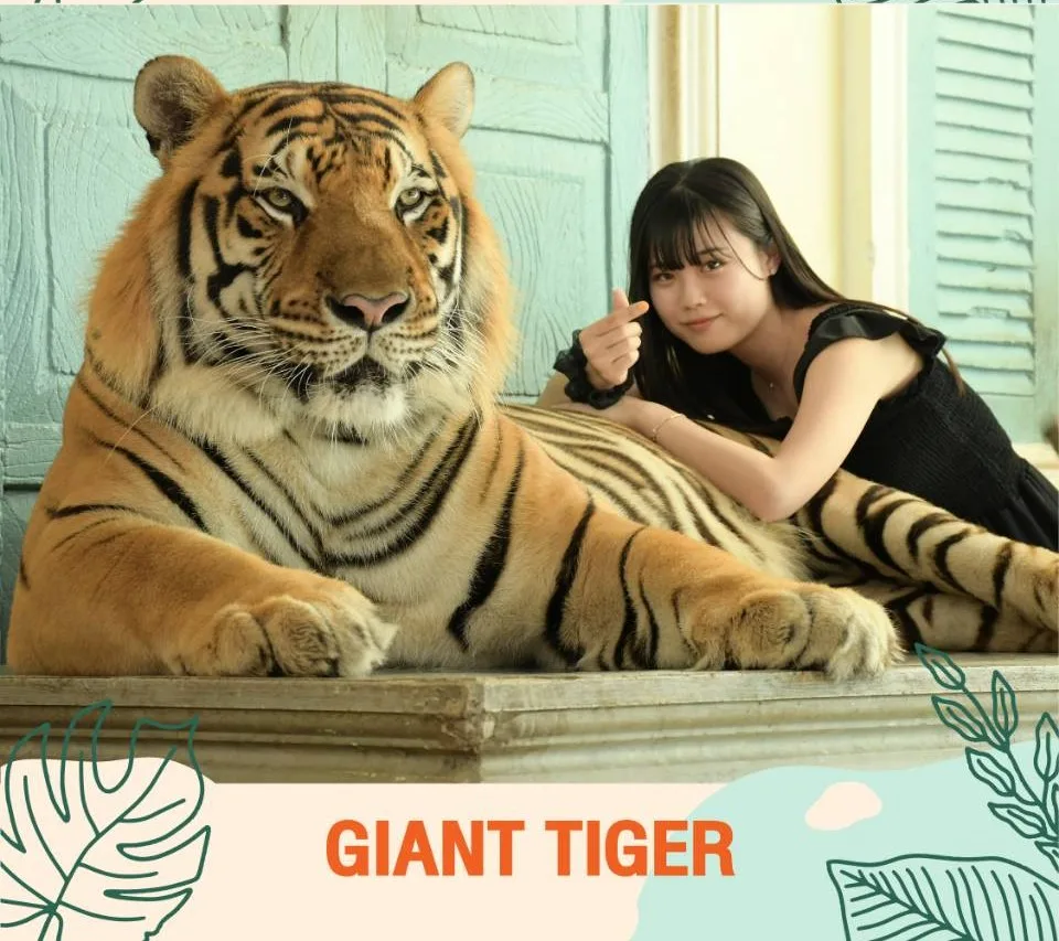 Giant Tiger