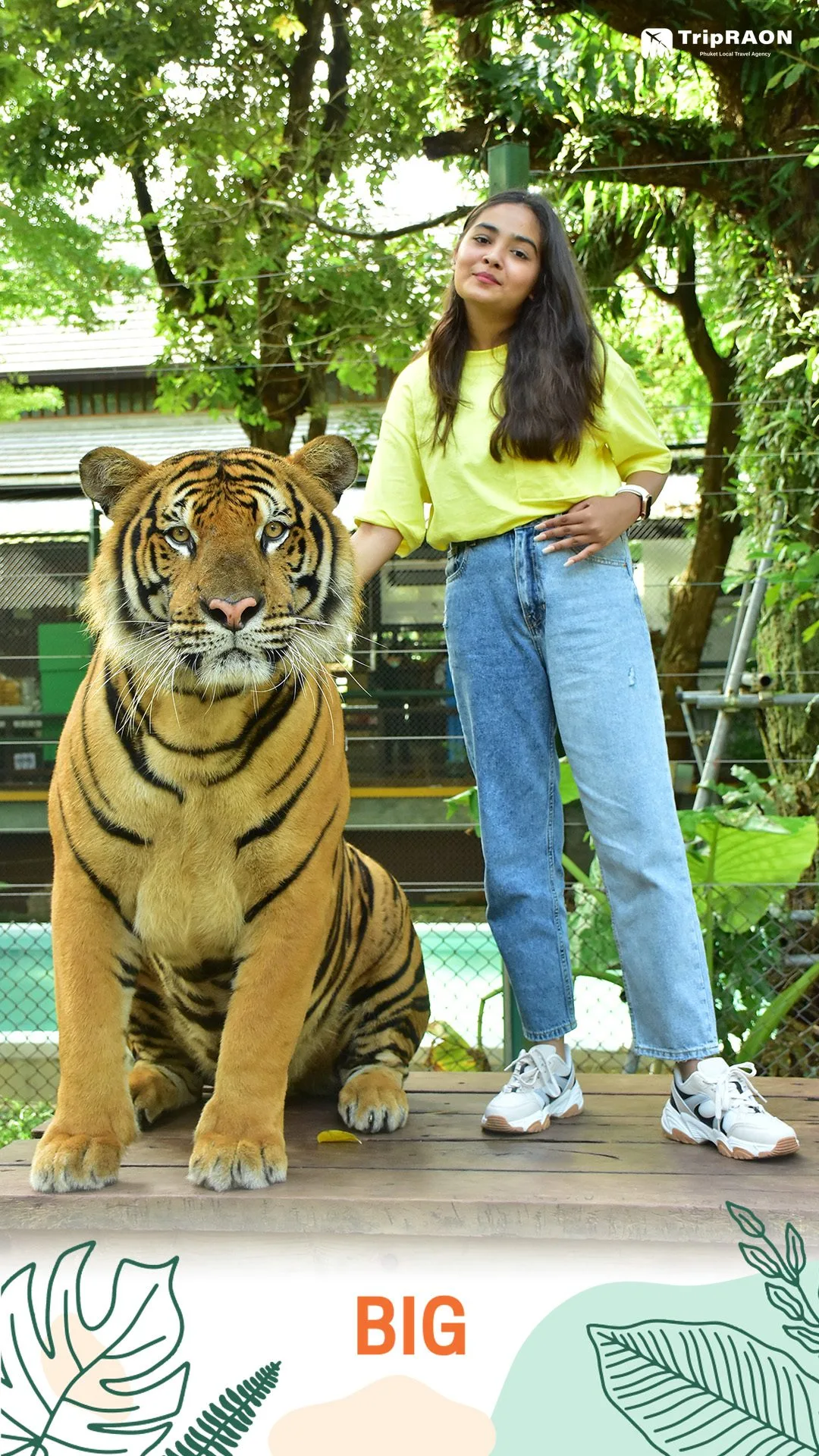 타이거킹덤 (Tiger Kingdom)