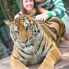 타이거킹덤 (Tiger Kingdom)