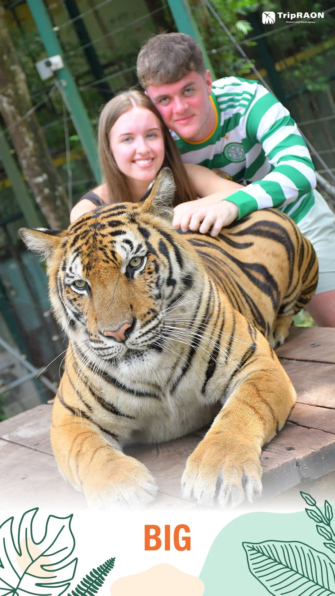 타이거킹덤 (Tiger Kingdom)