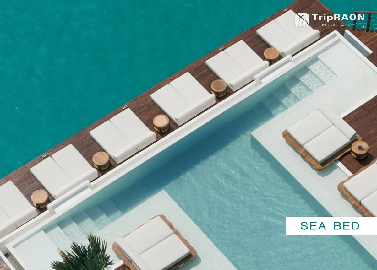 Yona Beach Club · Yona MIRAGE Party Seat (요나 비치 클럽 · 요나 MIRAGE 파티 좌석) - 图片 16