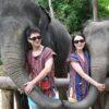 Visitors hugging elephant trunks at Patong Elephant Hug
