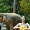 Visitor with an elephant in the forest