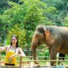 Visitor with an elephant at the art area