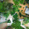 Aerial view of the elephant camp in the forest