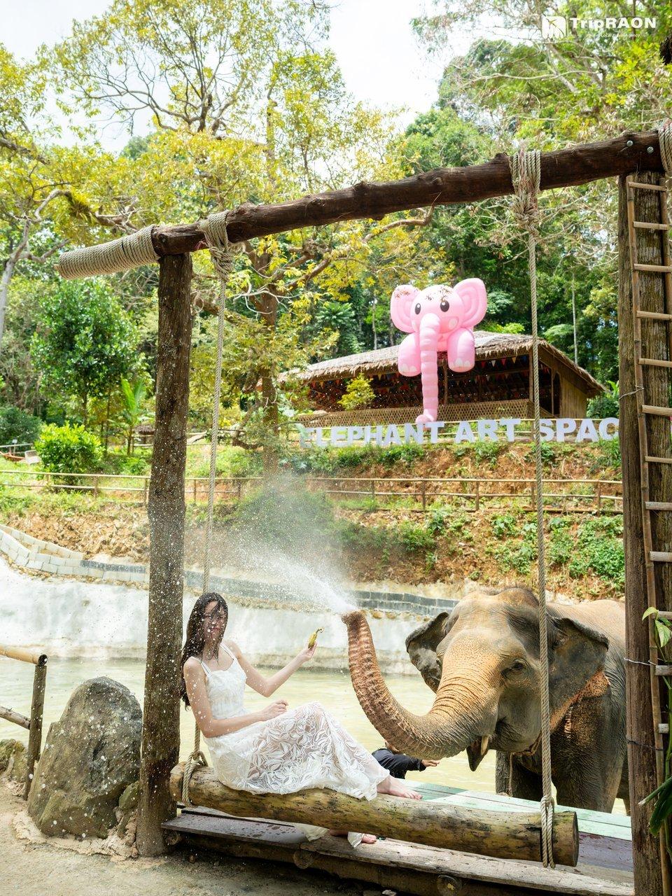 Elephant spraying water near the swing