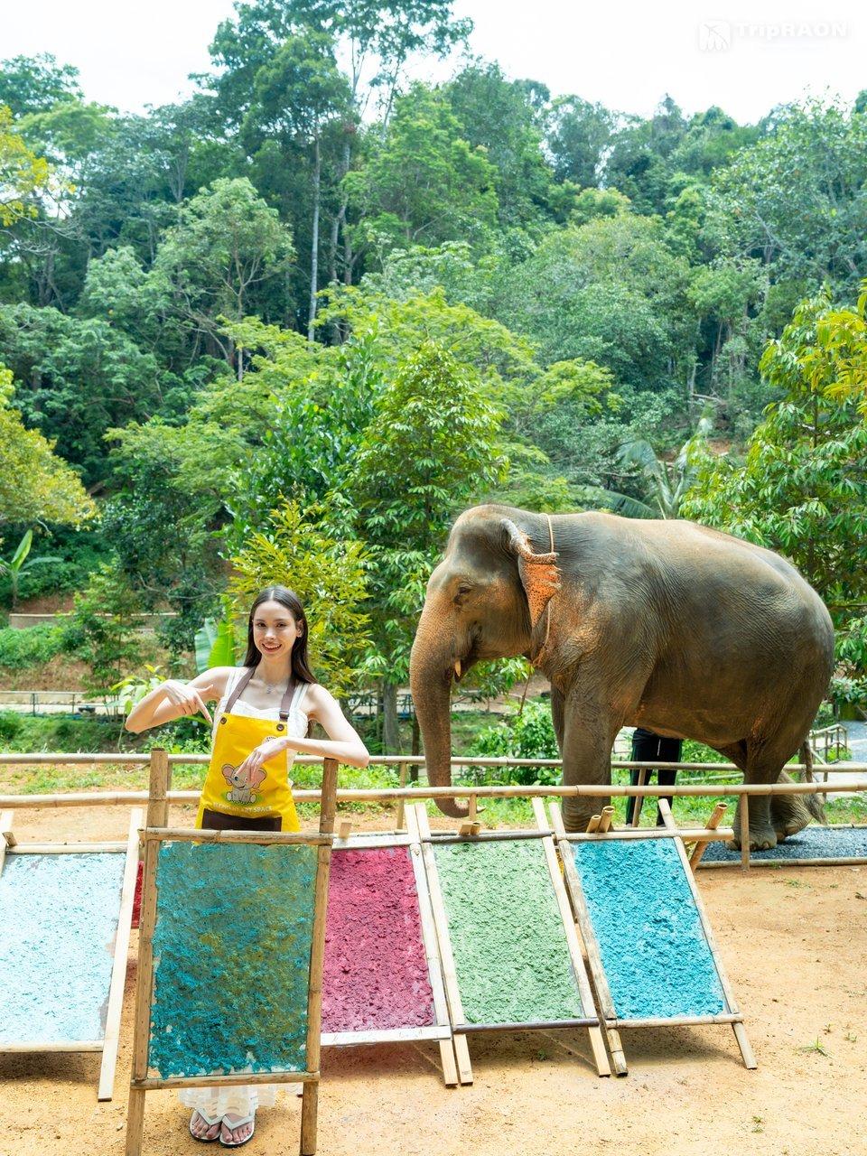 Colorful elephant dung paper drying in the sun