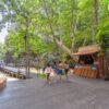 Boardwalk to Maya Bay