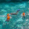 Snorkeling in clear water, Phi Phi