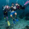 Divers underwater, Similan