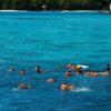 Snorkeling in clear water, Surin